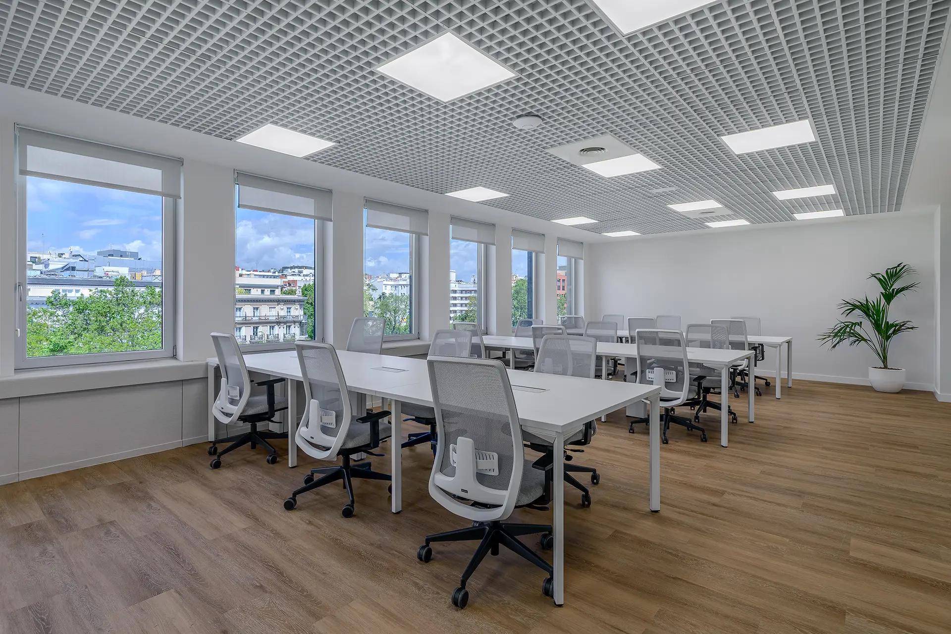 Oficina Privada con Luz natural