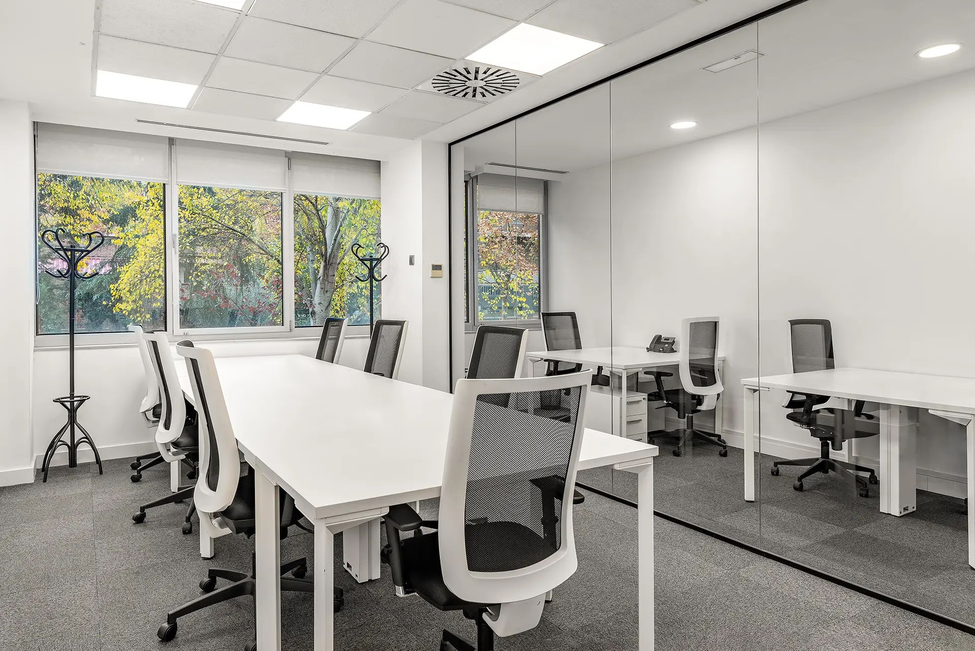 Oficina Privada con Luz natural