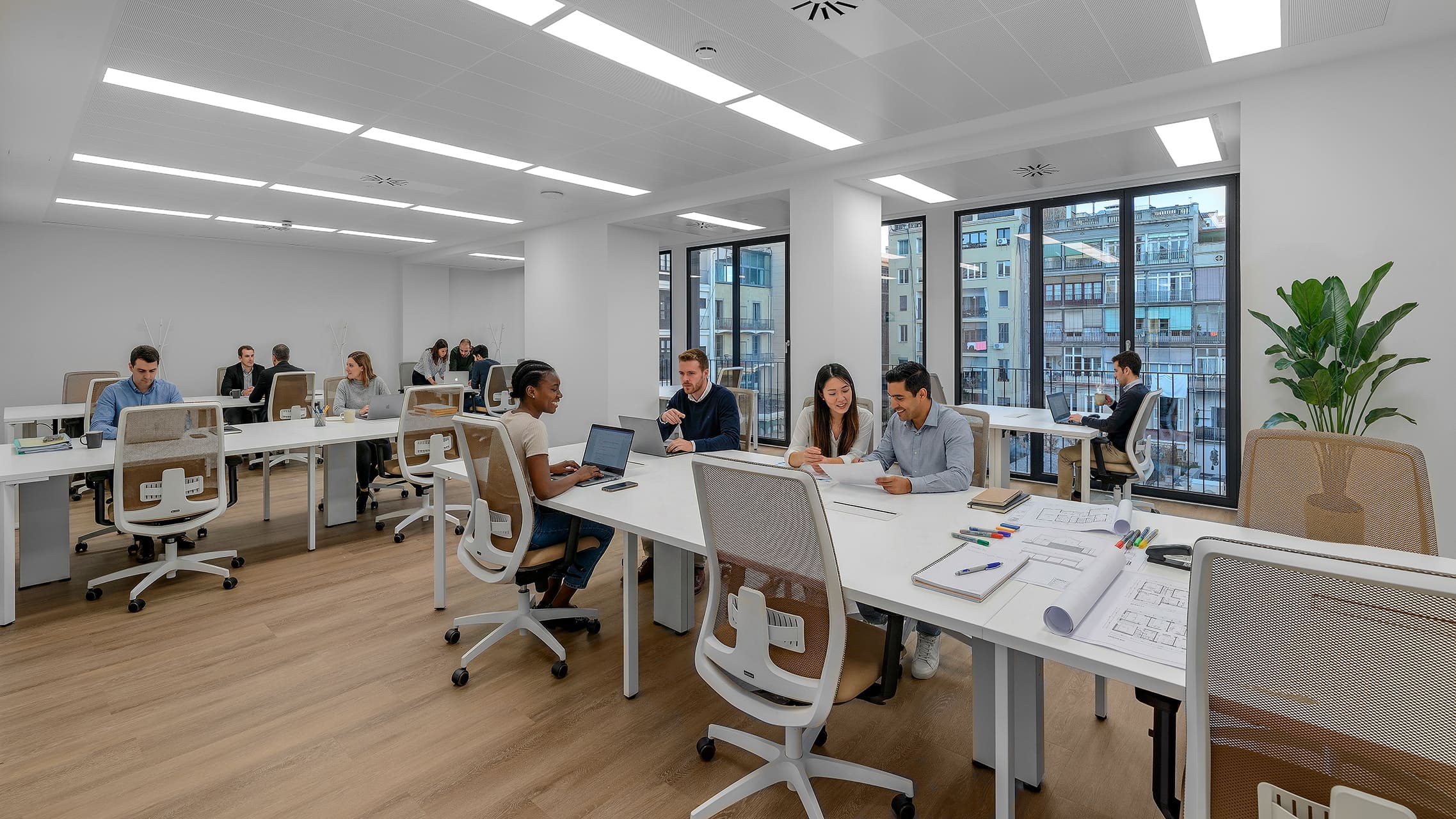 Oficina Privada con Luz Natural