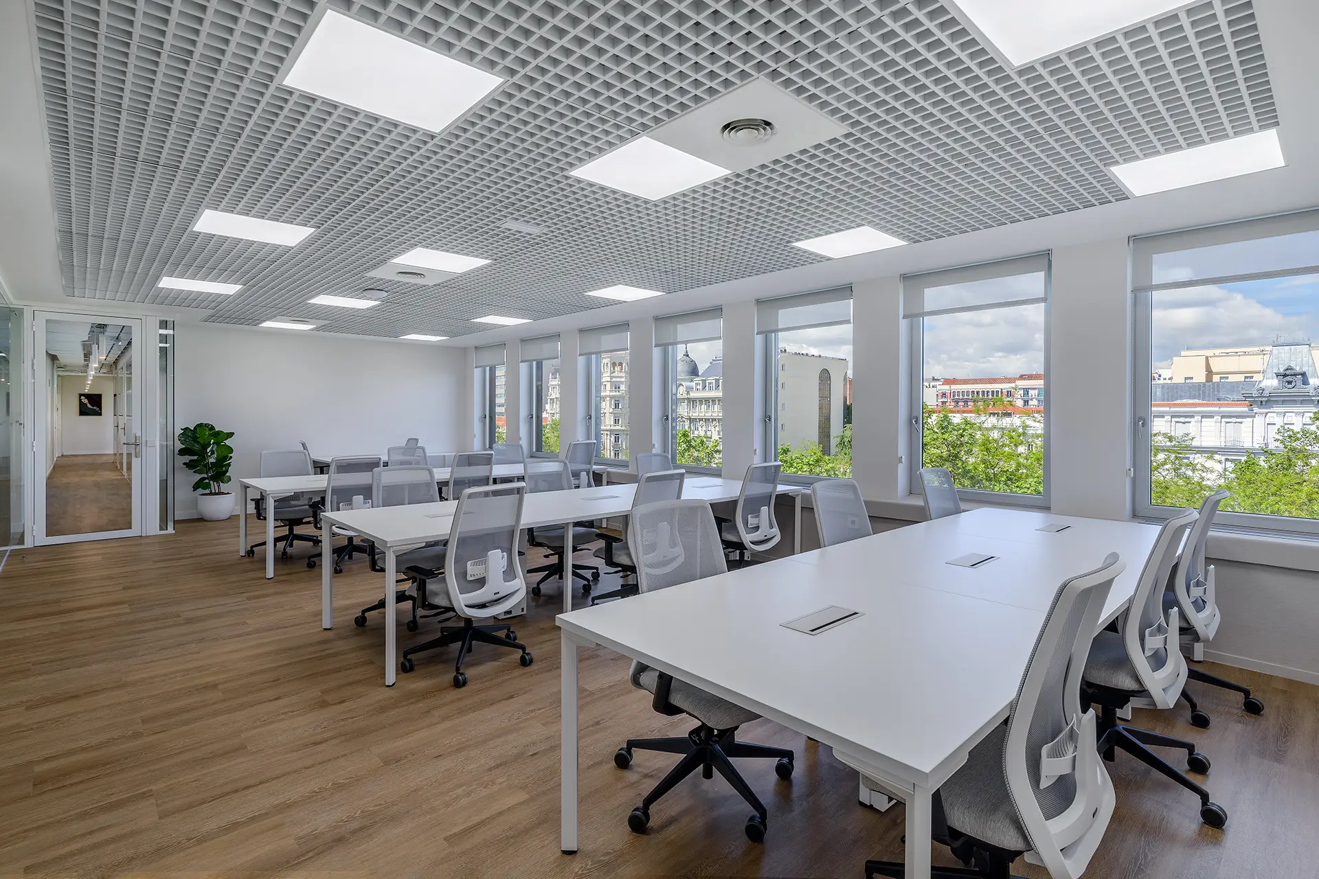 Oficina Privada con Luz natural