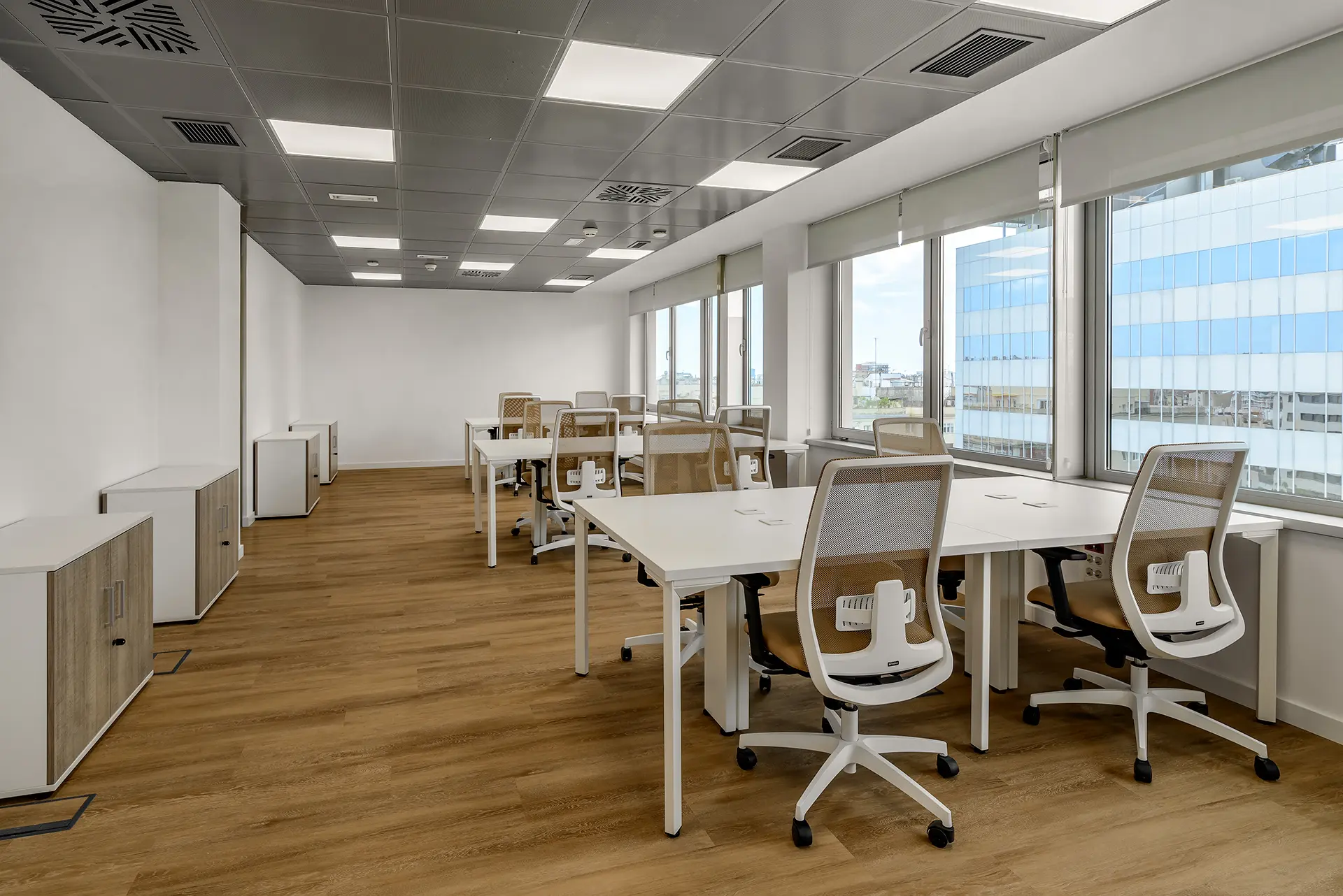 Oficina Privada con Luz Natural