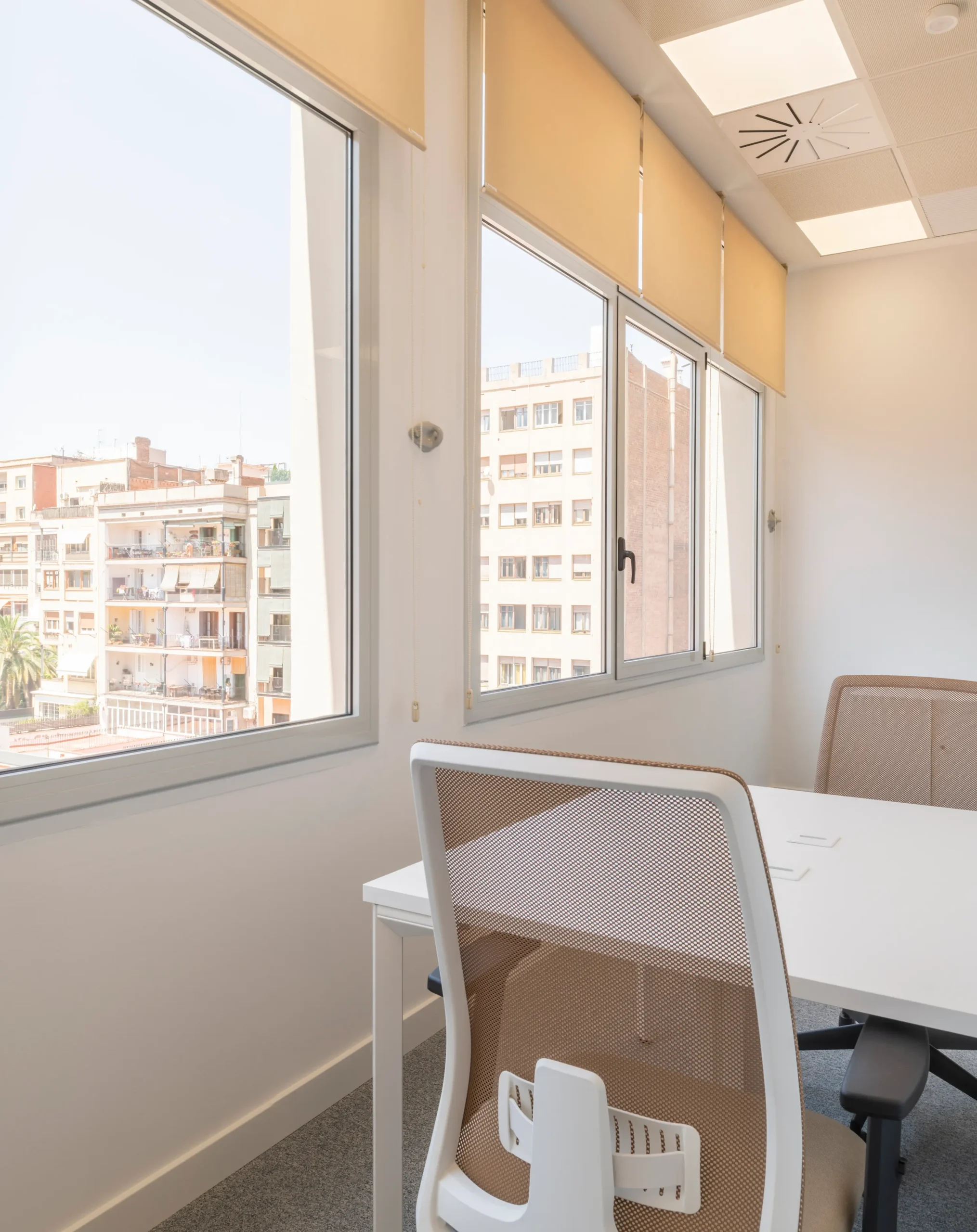 Oficina Privada con Luz Natural