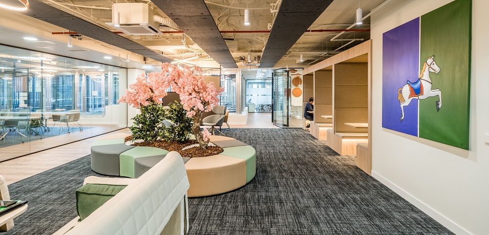 Zona común Networkia